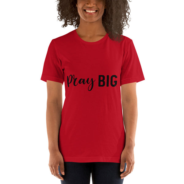 PRAY BIG Unisex T-Shirt - Word of God Store